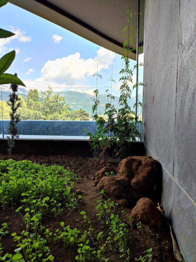 Royal Elysium Lägenhet Budva Exteriör bild